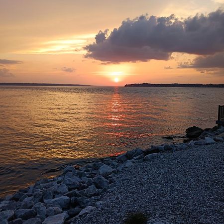 The Gemini-A Dreamy, Waterfront Tiny Cabin Rogersville Extérieur photo